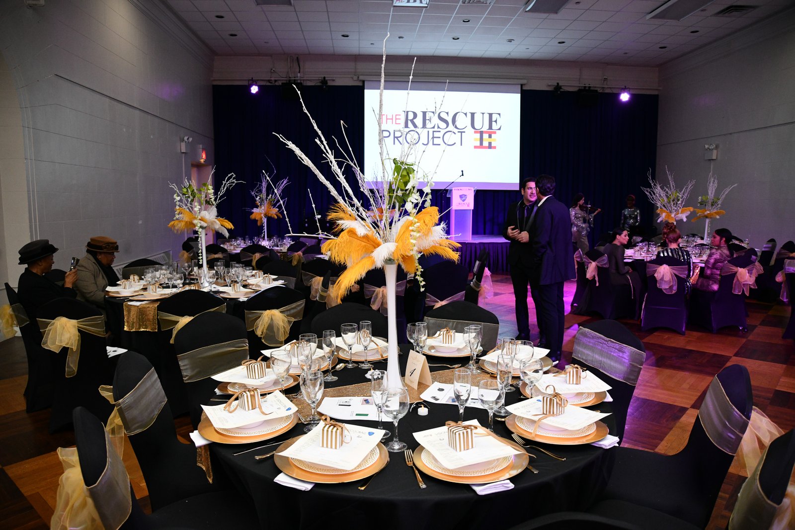 Vision 2020 BALL By The Rescue Project / Haven Hands Inc.